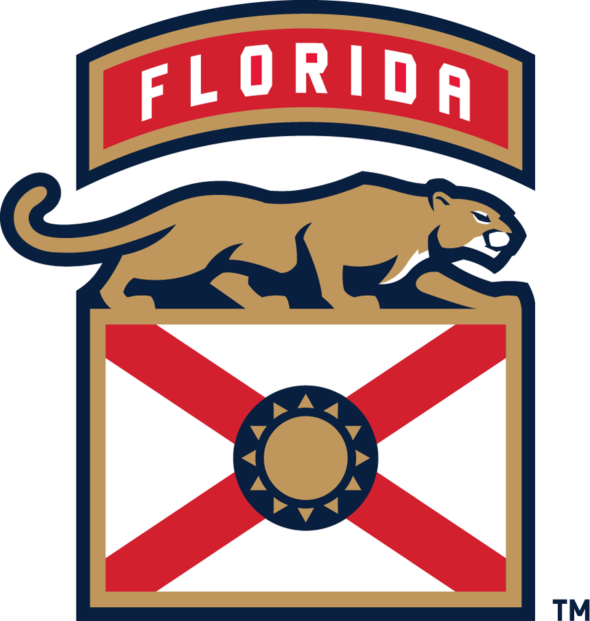 Florida Panthers 2016-Pres Alternate Logo t shirts iron on transfers v4